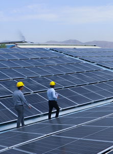 مشاهده محصولات پروژه نیروگاه خورشیدی